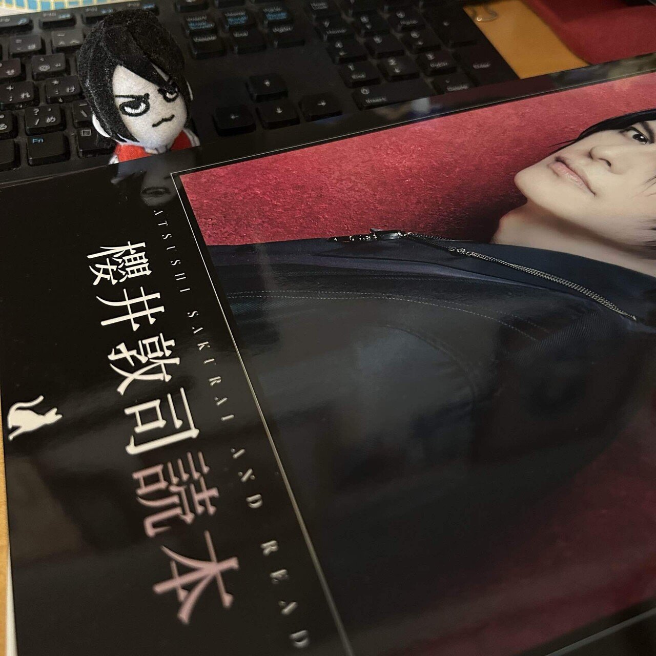 商品名櫻井敦司ロンギヌスクリアファイルとフライヤー ハーロカードの