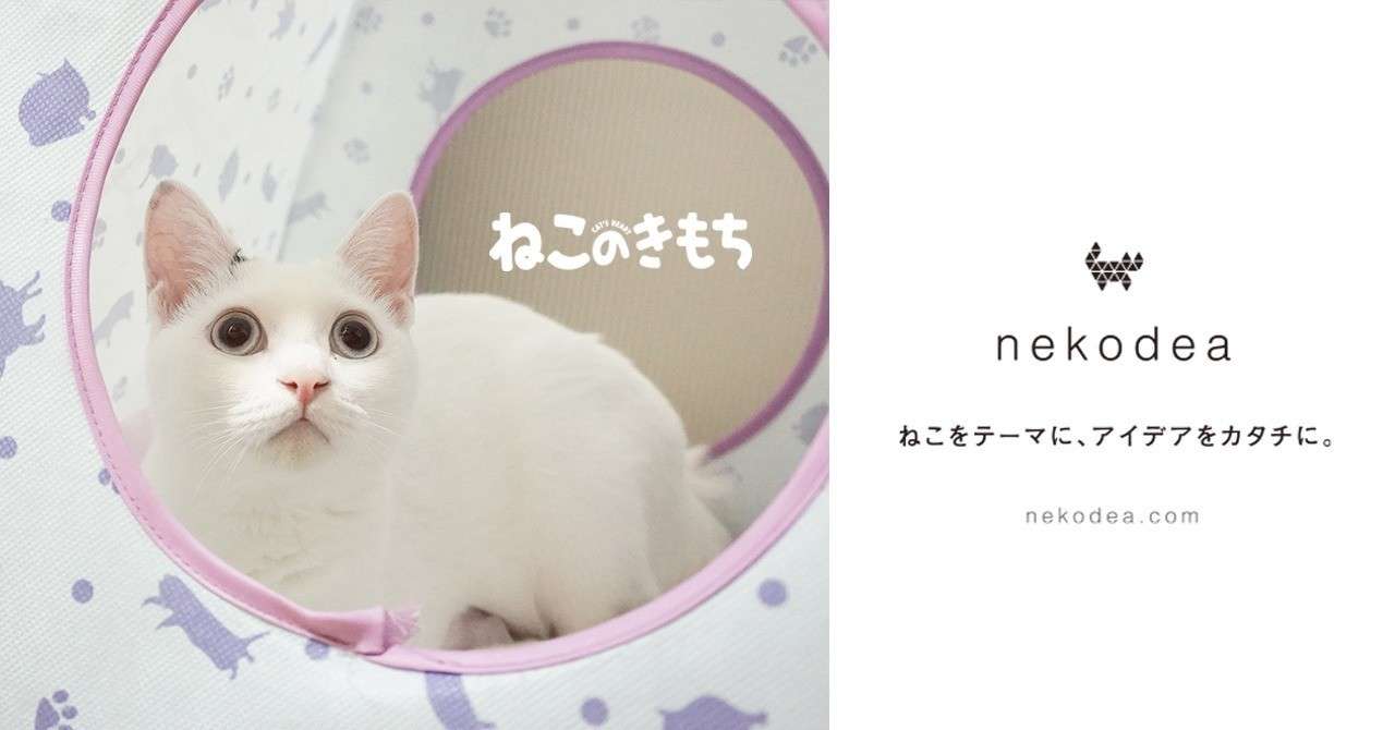 妻 母 娘が語る うちの とねこ のちょっとイイ関係 ネコデア ねこをテーマにアイデアをカタチに Note
