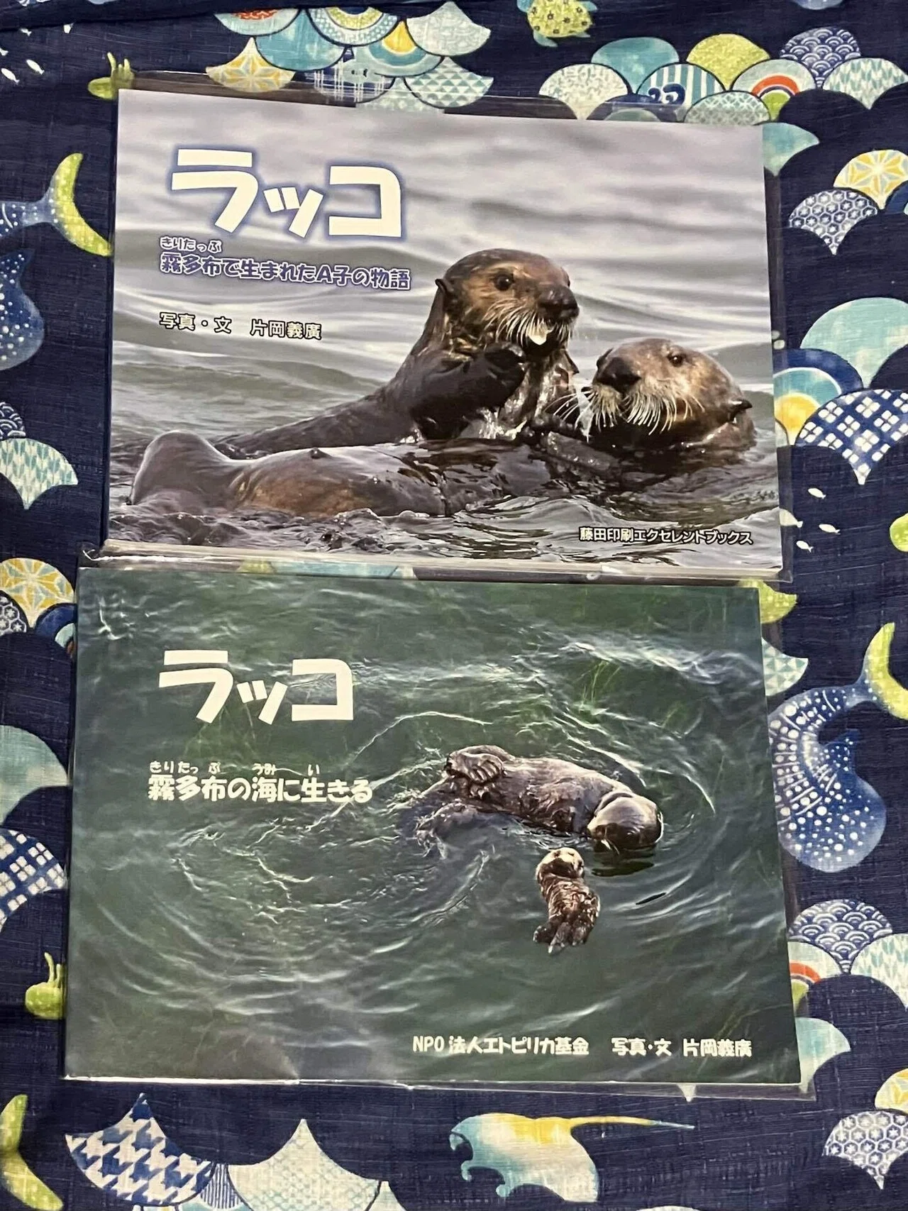 日記:少しの間だけ、シャチのことを苦手に思うのを許してください｜Olivine
