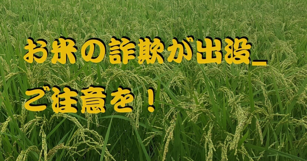 お米の詐欺が出没_ご注意を！｜cyo99