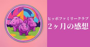 ただの“経験”で終わらせない」──ヒッポの活動が“学び”に変わる