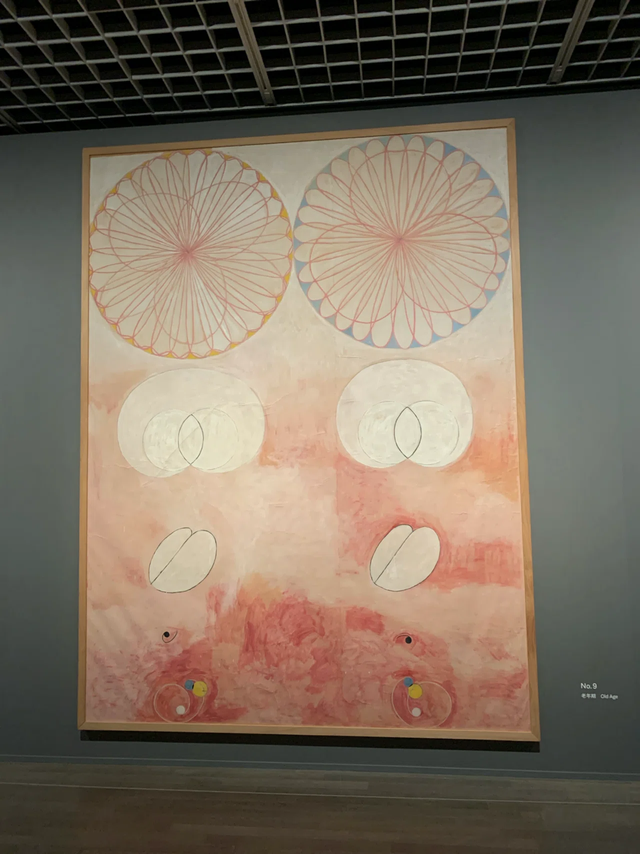 Hilma af Klint Exhibition] Reminded me of high school biology