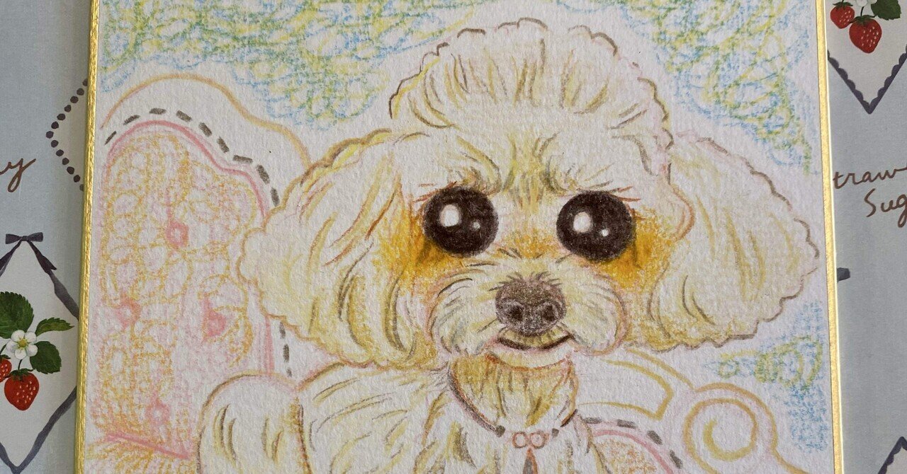 画材がやっと決まりつつある | 似顔絵師までの道のり｜Amii