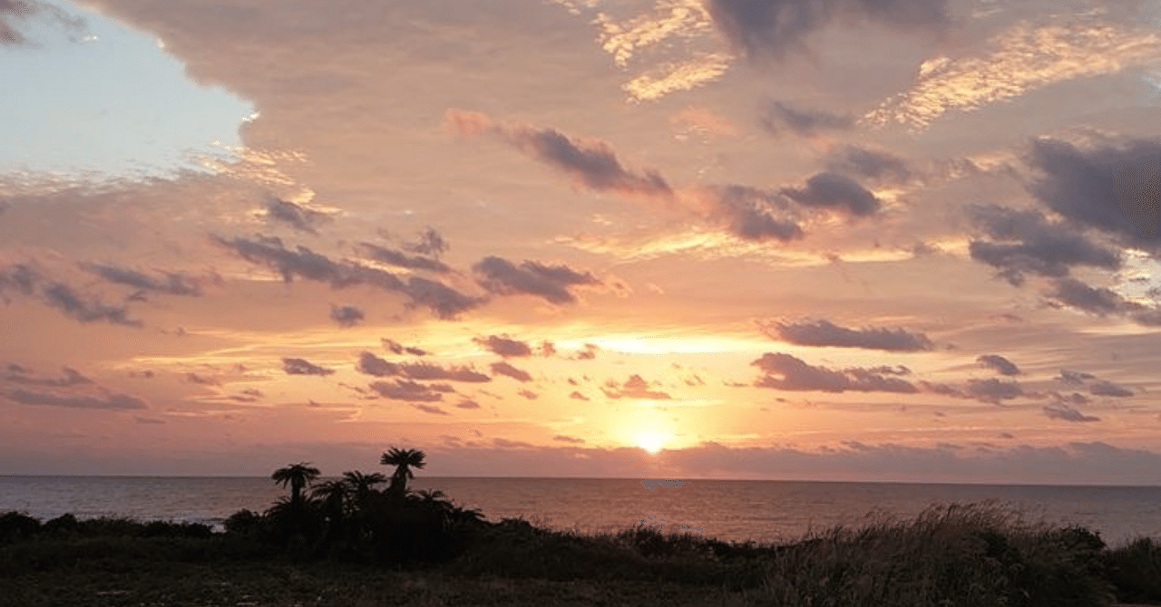 【9割は知らない!𝐰𝐞𝐥𝐥𝐧𝐞𝐬𝐬と強運学】Vol.52鳳条 菜央