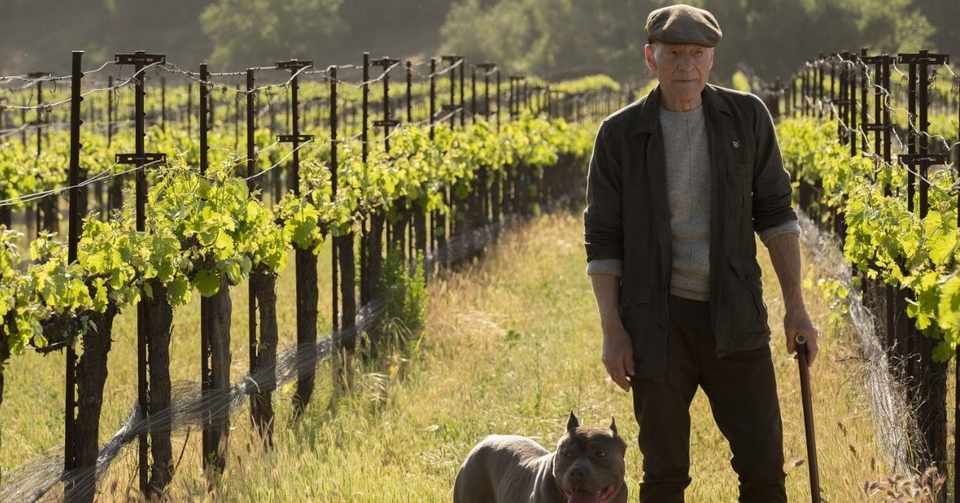 スタートレック ピカード そもそもフランス人であるピカードがなぜブリティッシュ アクセントで話すのか Cymro アマゾン殿堂入りレビュアー Note