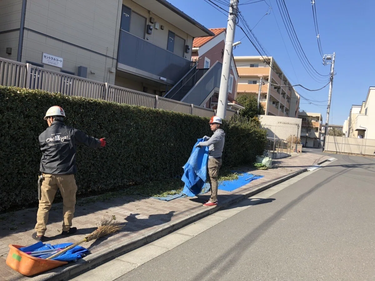 画像5