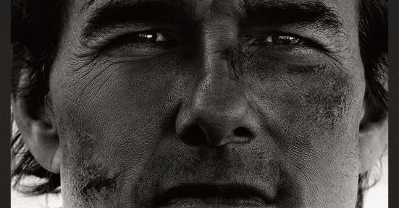 『ミッション:インポッシブル/ファイナル・レコニング』正直な感想を一言で言うと、なかぶ