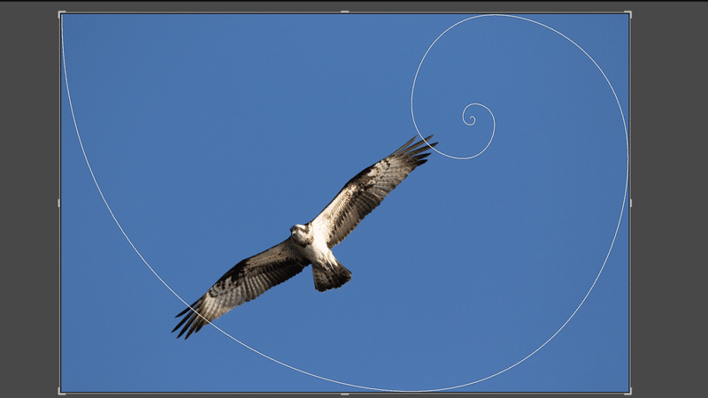 スクリーンショット (20)