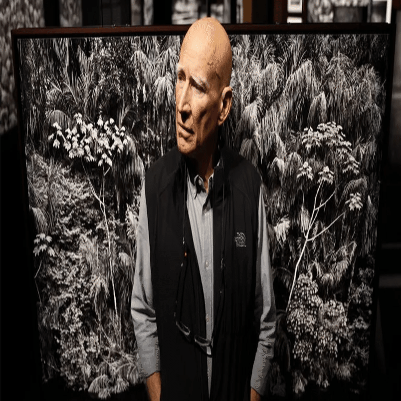 写真家セバスチャン・サルガド氏が逝去された II (1413字)｜artoday