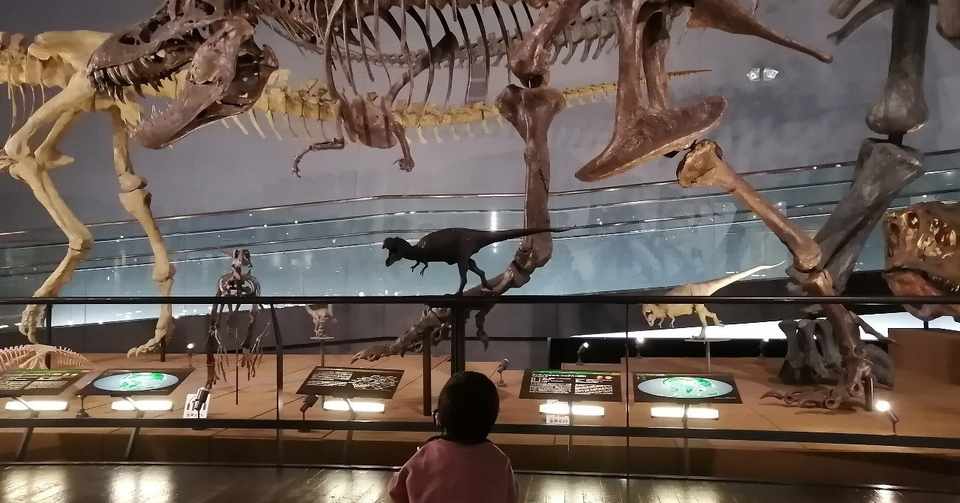 子連れ旅行 長男念願の恐竜博物館へ 大人も子供も大満足の福井旅行 Kosohon 育休パパの子育て実践記 Note