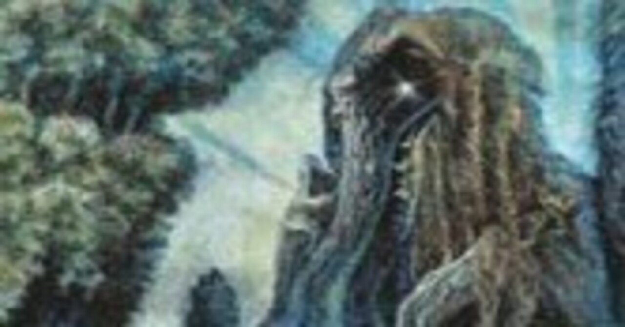 森の知恵 森の知恵 4版黒枠日本語版 2枚セット プレイド