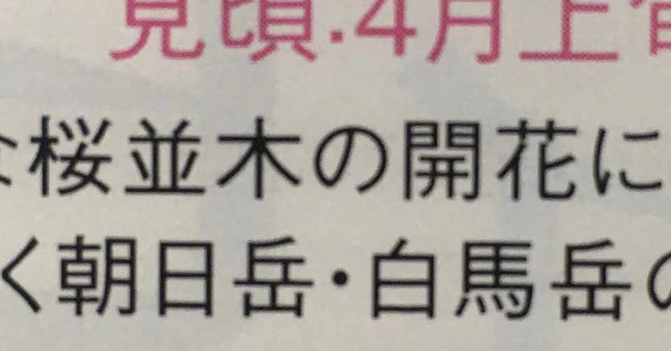 ラジオのお話 桜並木は開花するのか Wakuimakoto Note