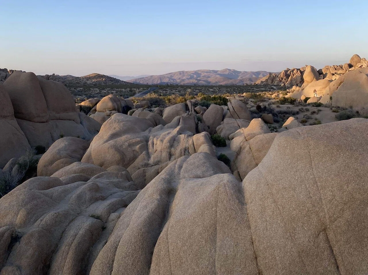 旅行ガイド】Joshua Tree National Park ~ジョシュアツリー国立公園 