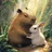 lifestyleNAO