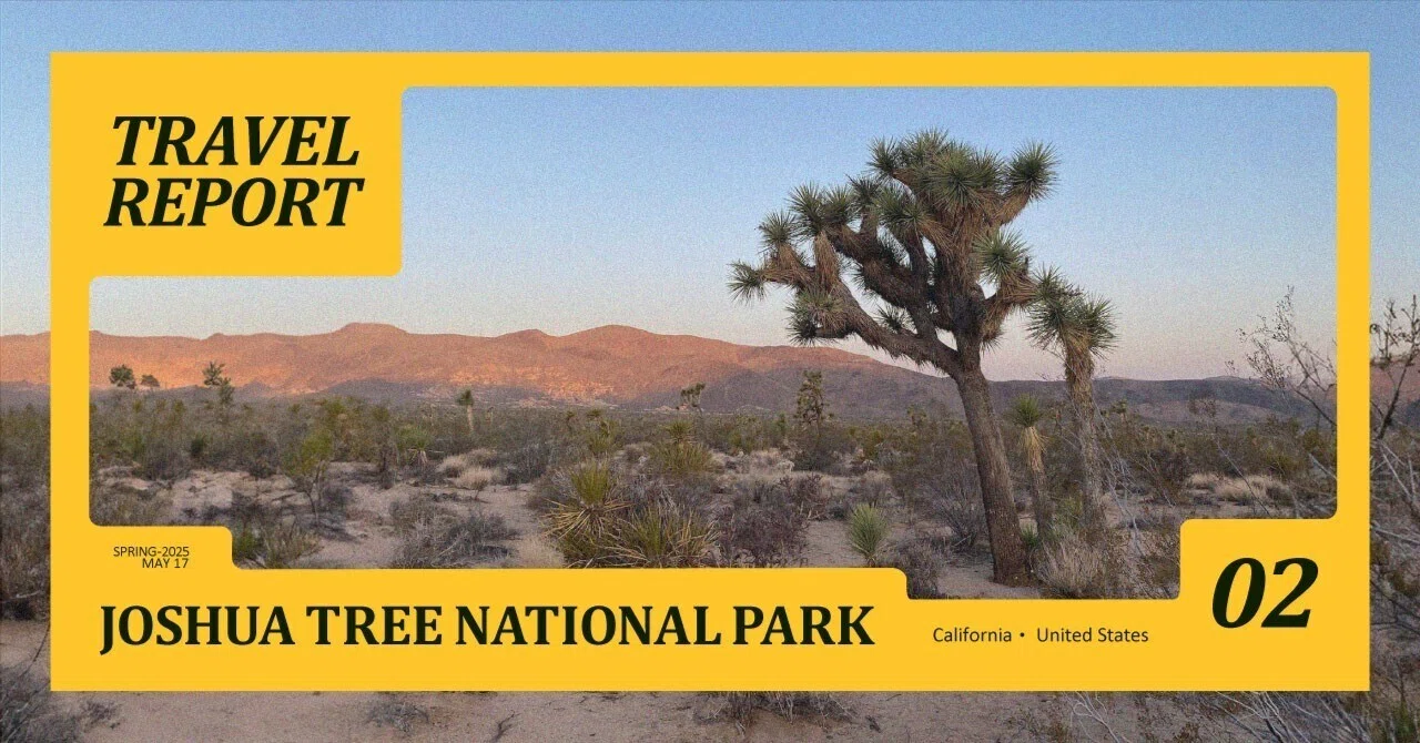 旅行ガイド】Joshua Tree National Park ~ジョシュアツリー国立公園