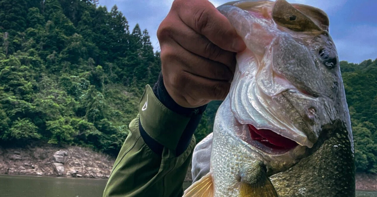 Healing in Nature: The Stress-Relieving Effects of Camping and Fishing ...
