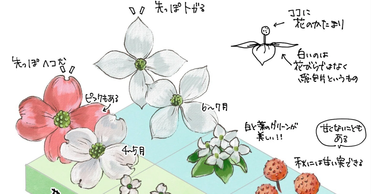 Cherry様　リクエスト商品　五点セット チェリー様 リクエスト 2点 まとめ商品 【公式通販】