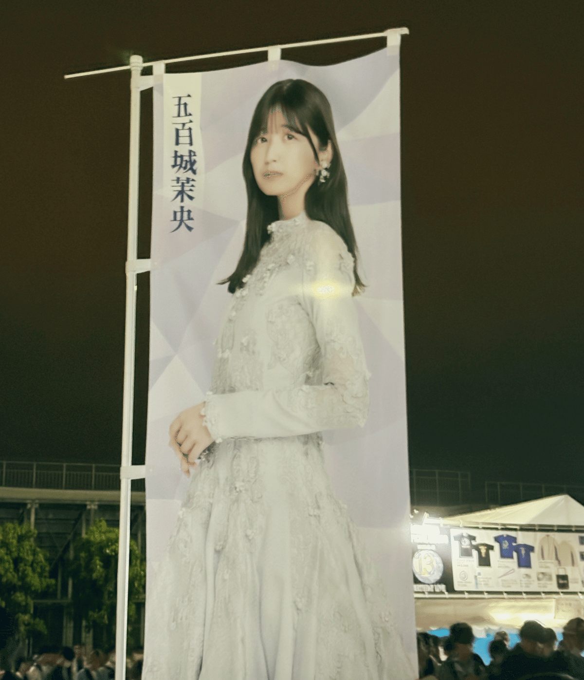 乃木坂46 井上和 生写真 13周年記念 Anniversary 5種 コンプ