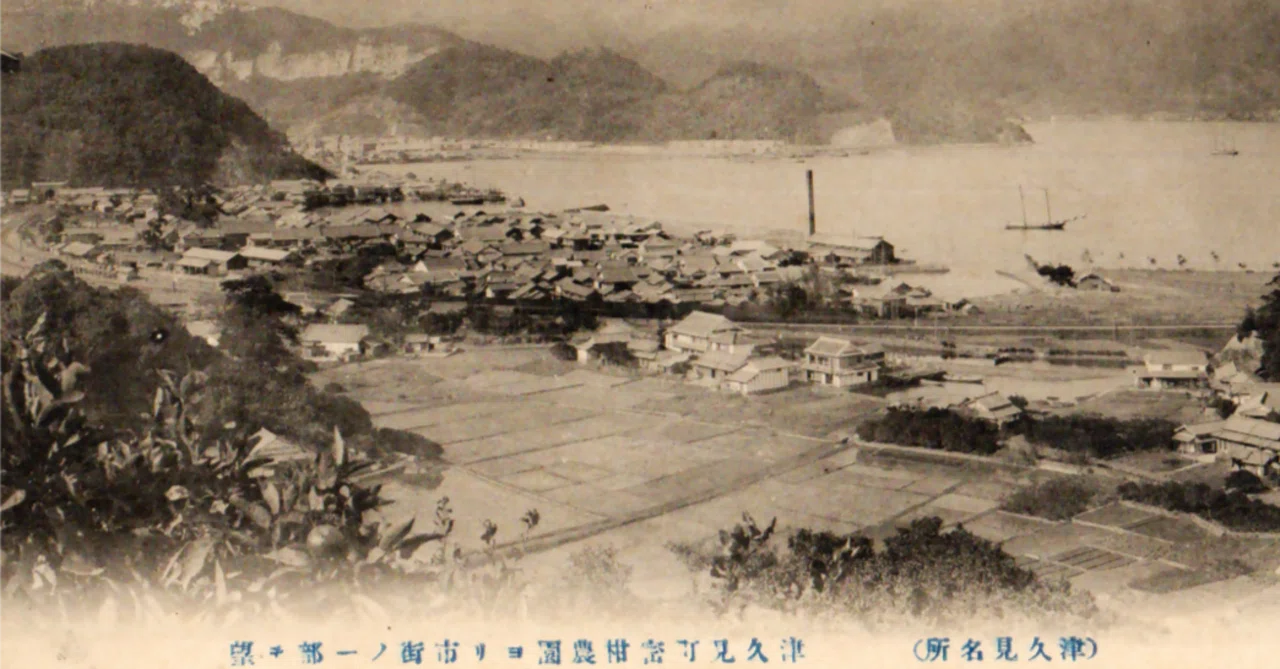 稀少戦前大正末期〜昭和初期頃時代岐阜水団扇当時物風流な金魚手描額装品コレクション rectangle_large_type_2_f3f2518