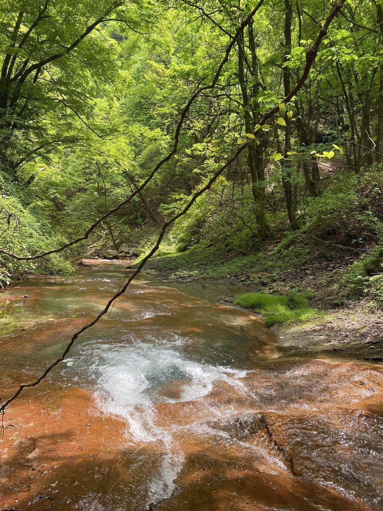 🌲🌟草津の自然を愉しむ。赤茶と白が美しい嫗仙の滝｜ミドリカワアスカ