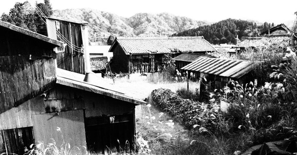 師岡千代子『夫・幸徳秋水の思ひ出』｜AyumiKatayama