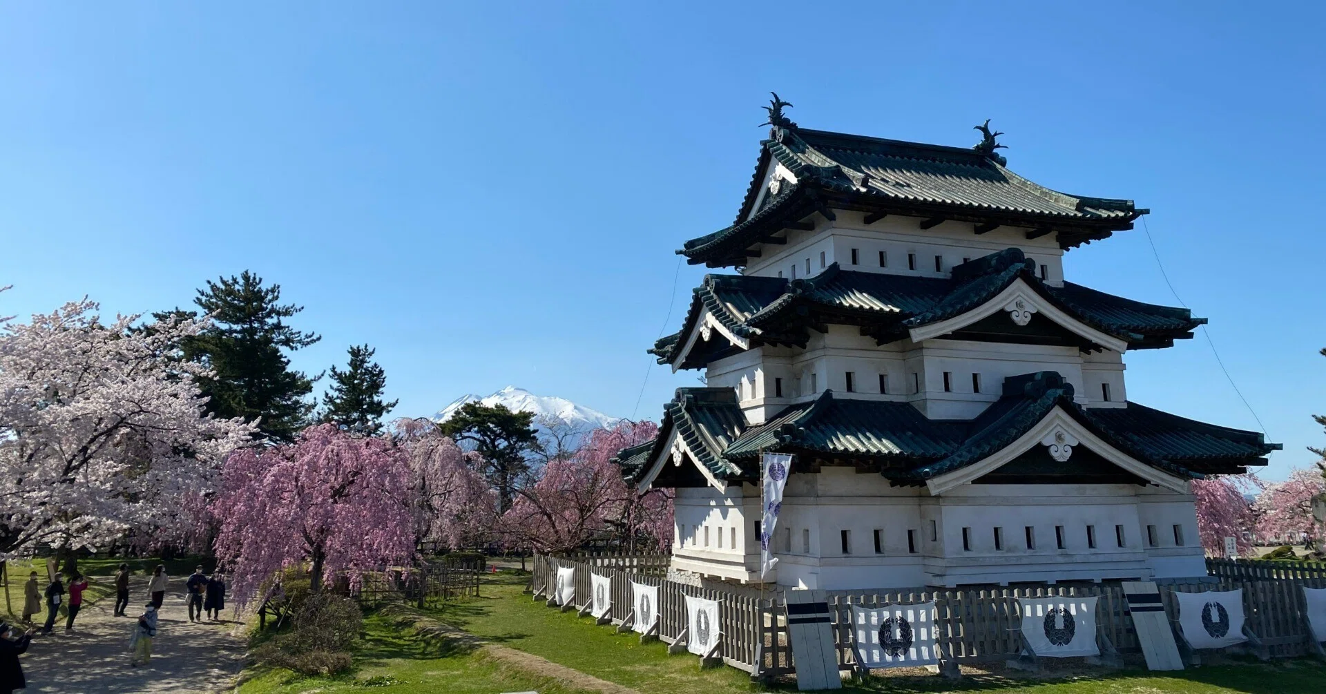 現存12天守】弘前城｜桜とともに記憶に刻まれる北国・青森の春