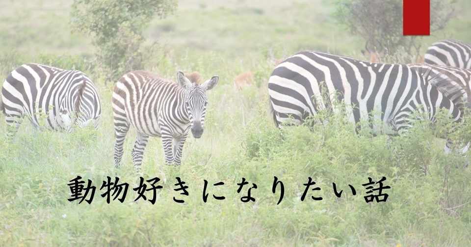 動物マニアになりたい サスケ Note