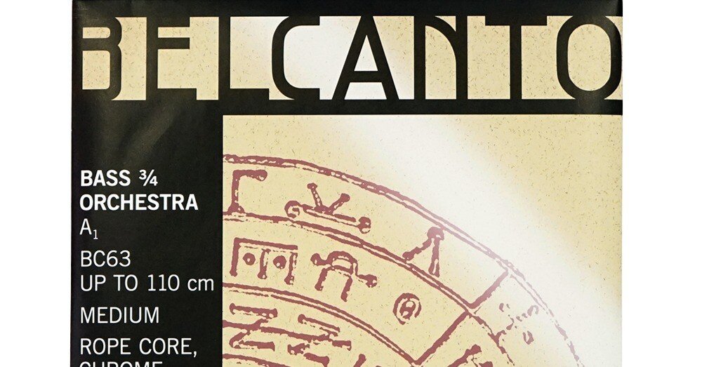 トマスティックのベルカントについて｜Shin Sheena