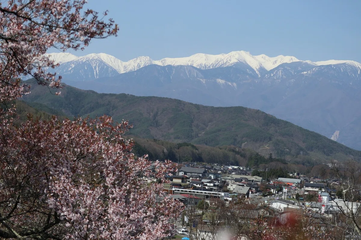展望