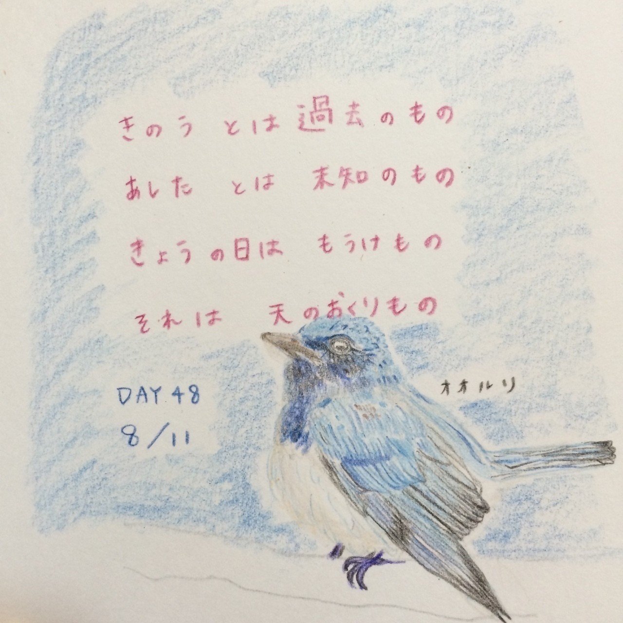 15 8 11 飼育員48日目 動物園の絵日記 Note