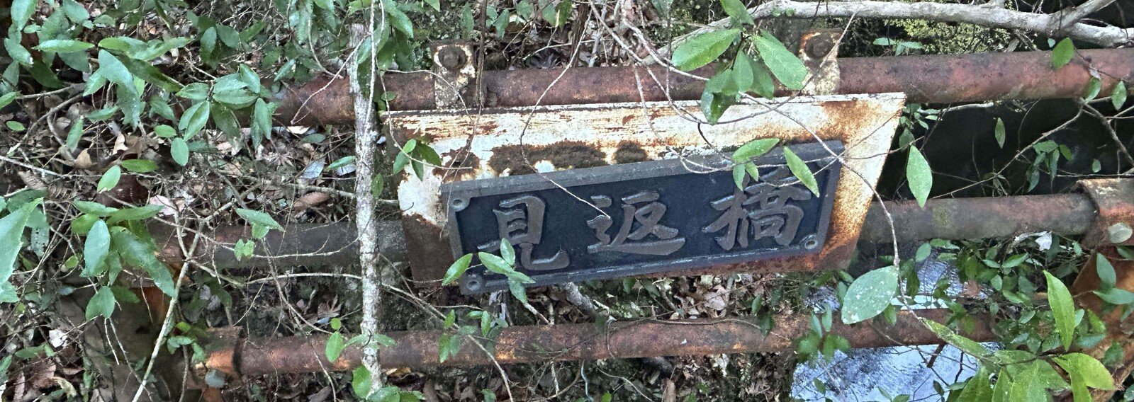 ほっしー💫｜note