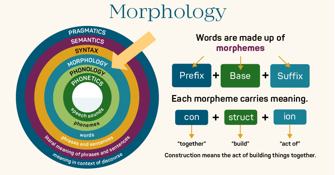 言語学：形態論（morphology）｜lmao
