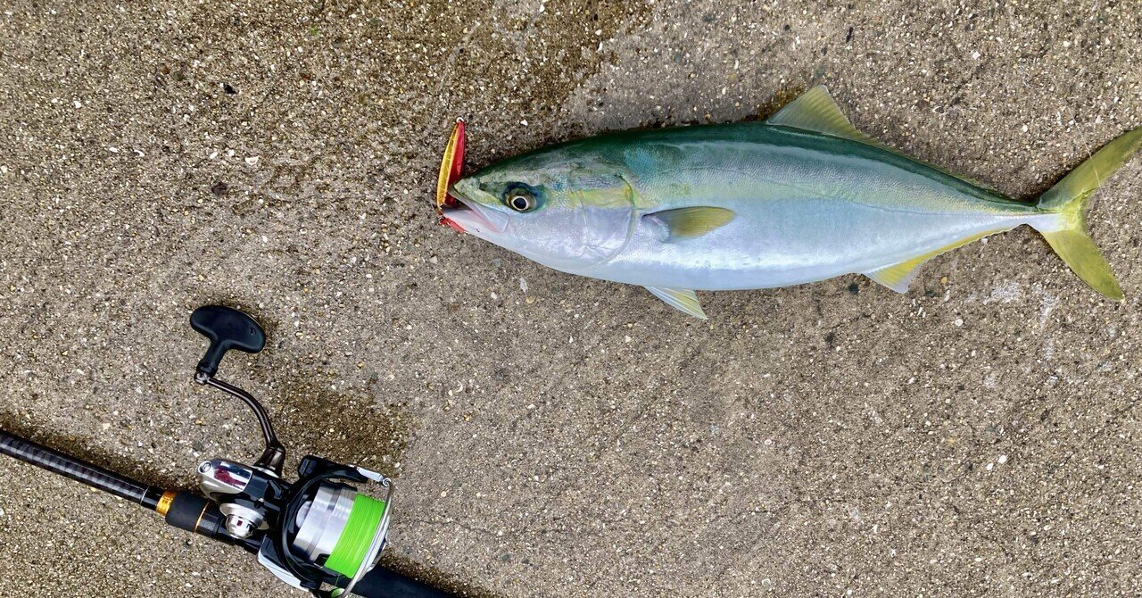 シゲです。魚 SKY MARINE オリジナルジグ SKY JIG 125g | SKY MARINE.SHOP