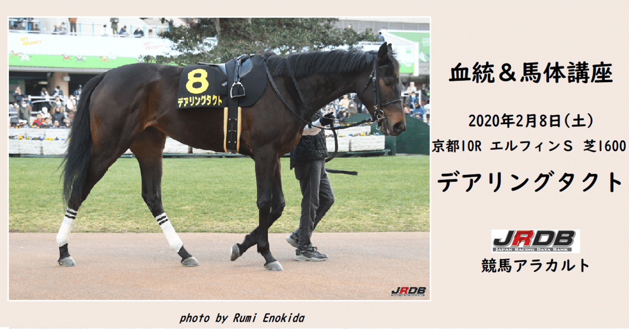 充実の品 血統＆馬体講座】デアリングタクト(エルフィンS)｜JRDB 競馬 コスプレ衣装