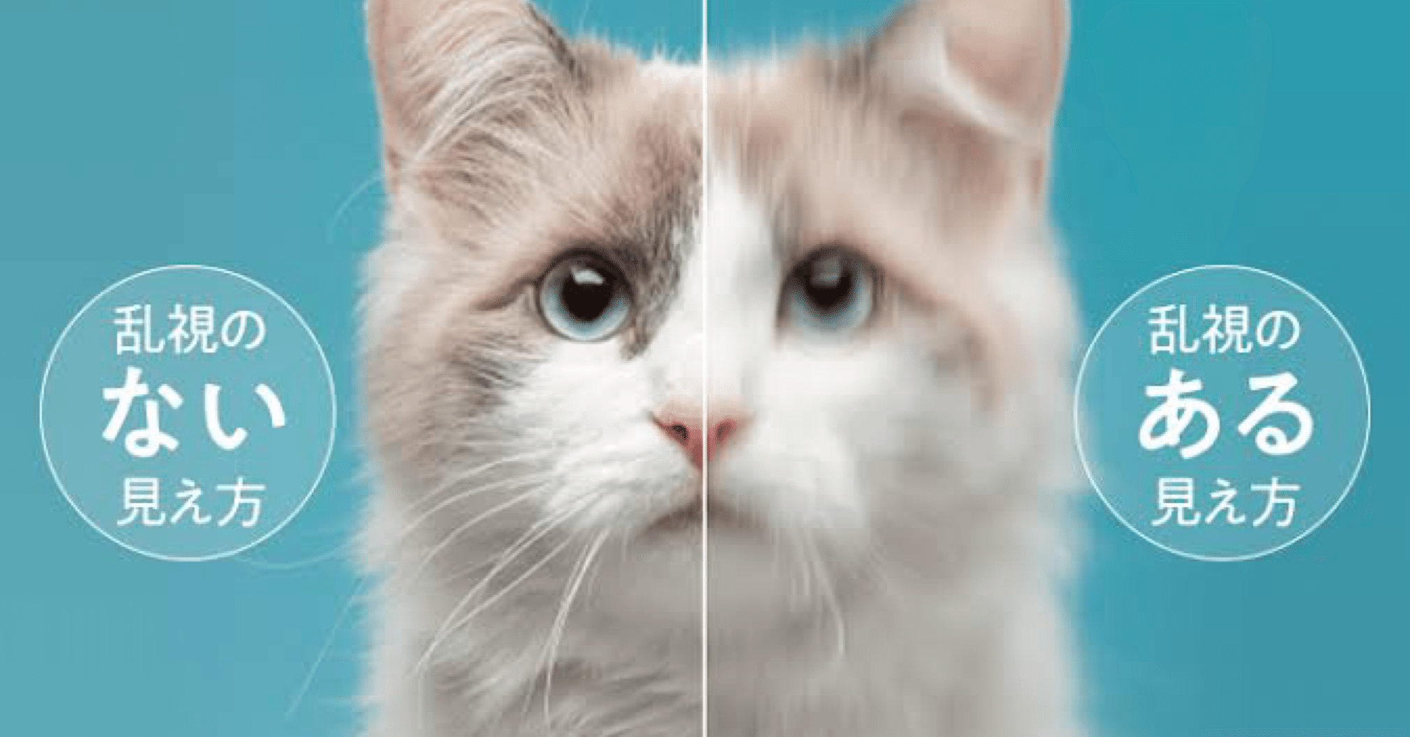 e4f0bccd1fad81518e7683787112bc