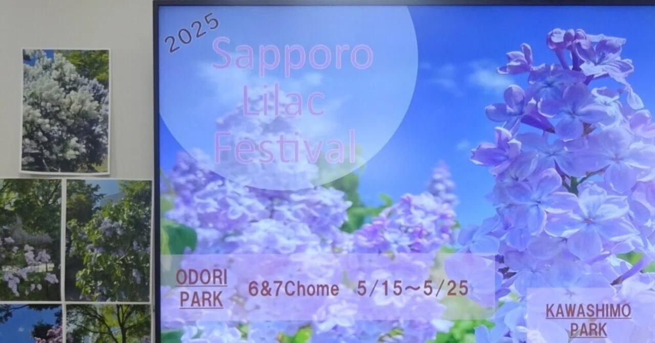 It is the final day of the Sapporo Lilac Festival! (May 25, 2025