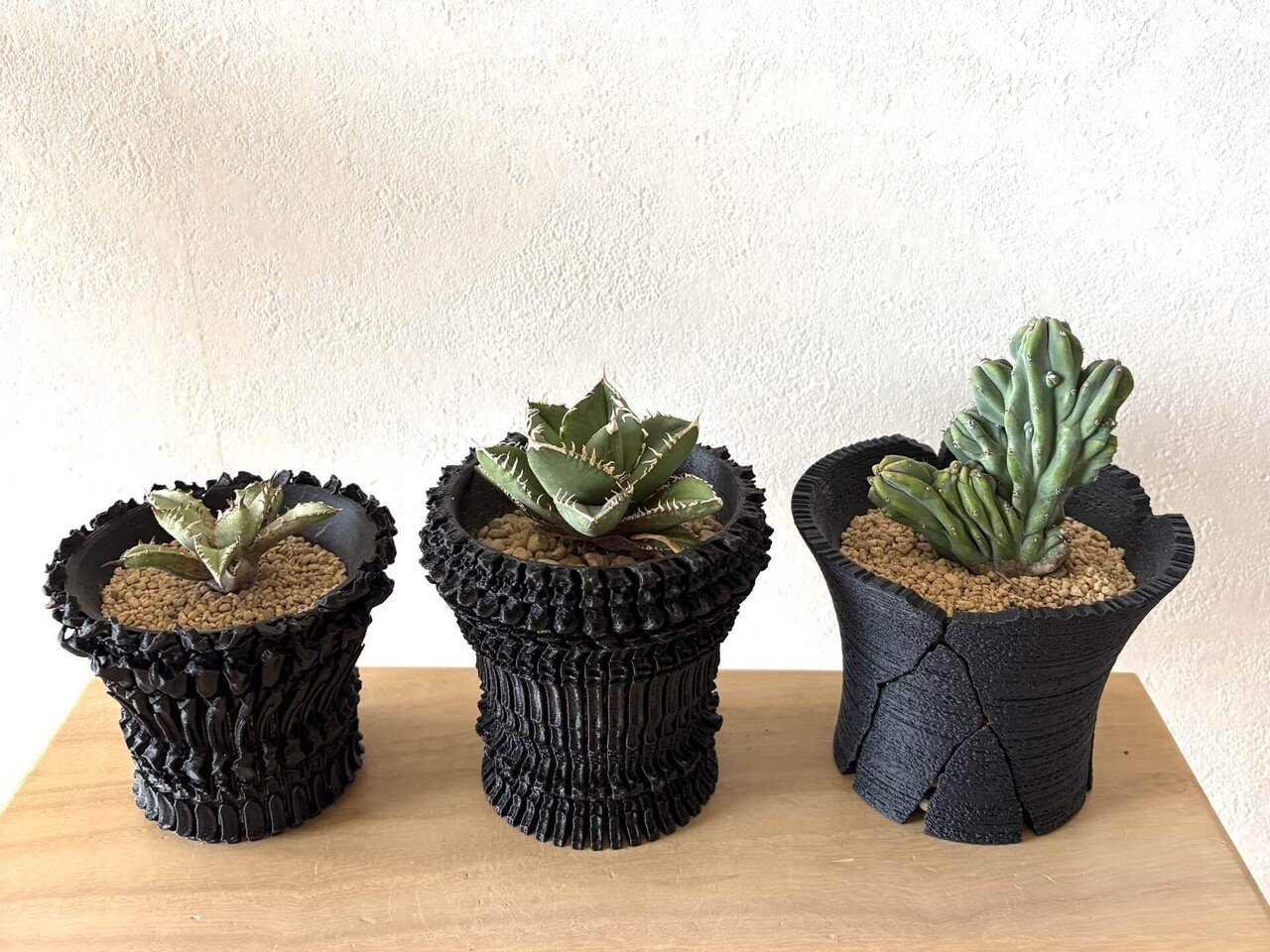 やっと手に入れたクラックスリット鉢｜ドラゴン・スー