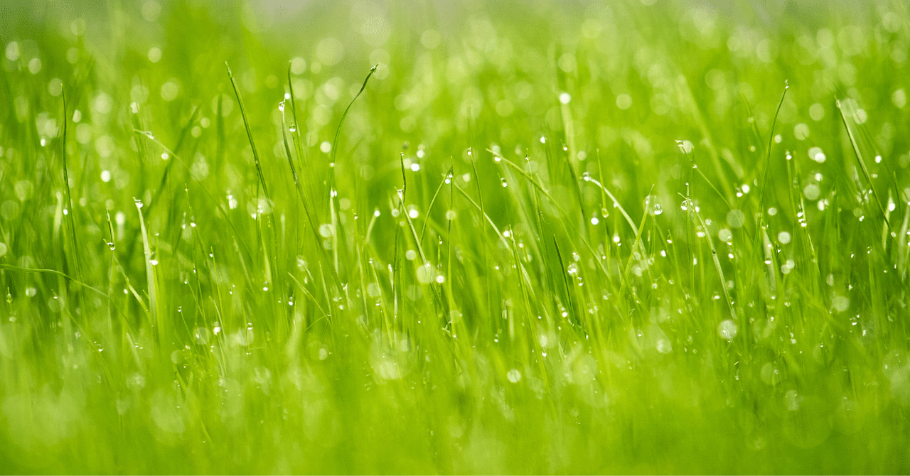 更新してないWordPress、削除したらすっきりするよまどとひかり