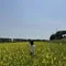 韓国マニア