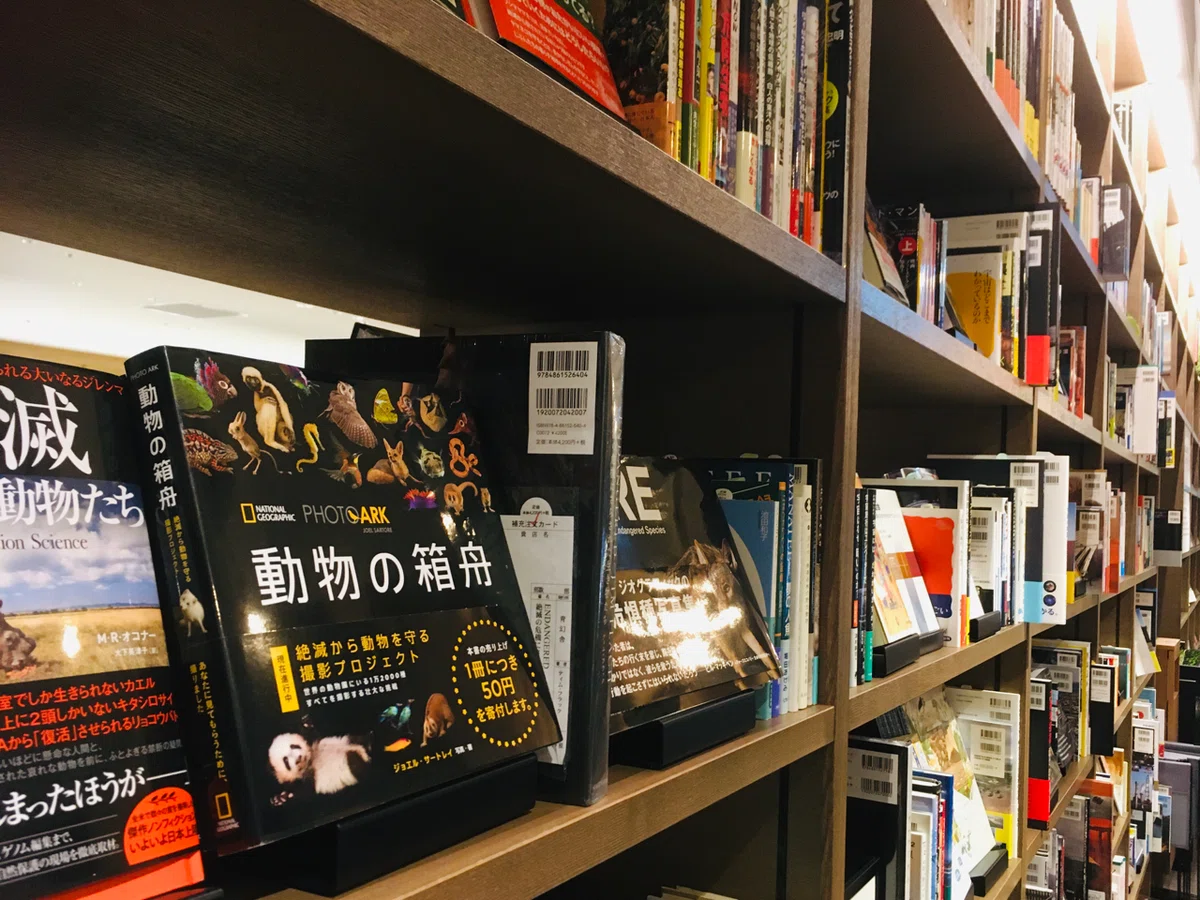 画像22