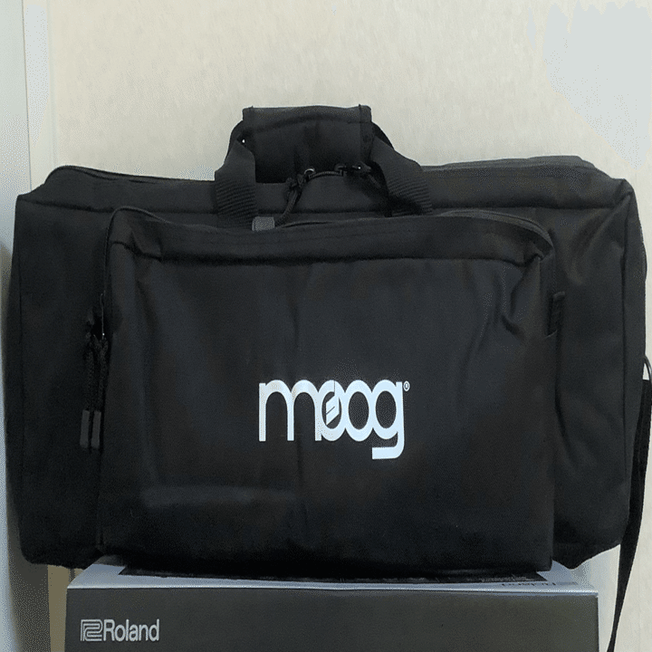 シンセサイザーとしてのTHEREMINI｜みくばんP