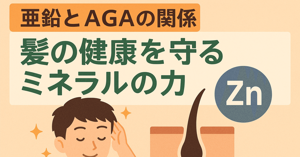 亜鉛とAGAの関係：髪の健康を守るミネラルの力｜Re:Men | 科学的根拠に基づいたメンズ美容