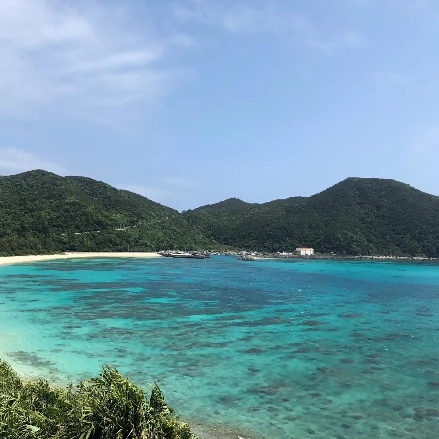 広海