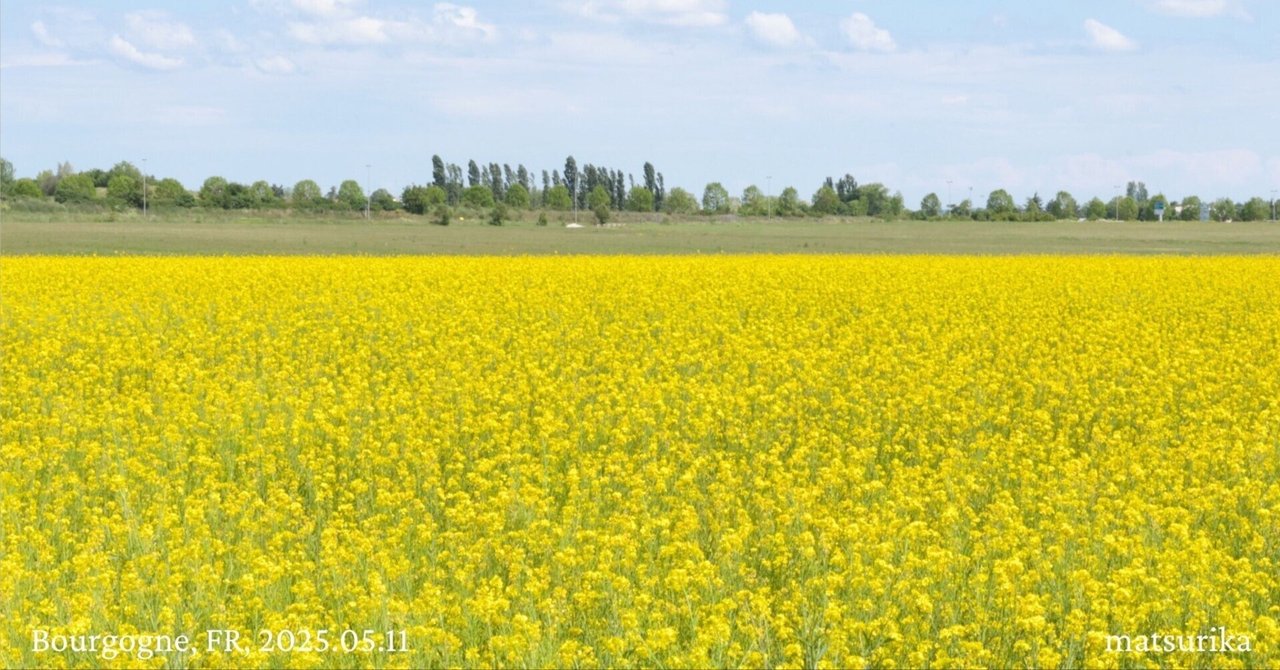 Matsurika Kanriden Chapitre 4 Scan Vf note.com