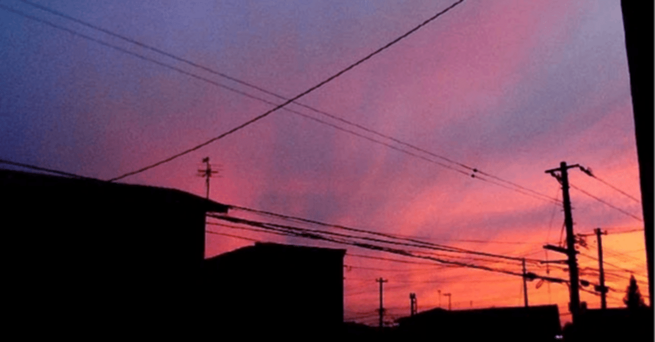 夕焼け鳥の休息 江口浜🌆 #夕焼け #鹿児島 #日置市 #夕焼けハンター #iphone16
