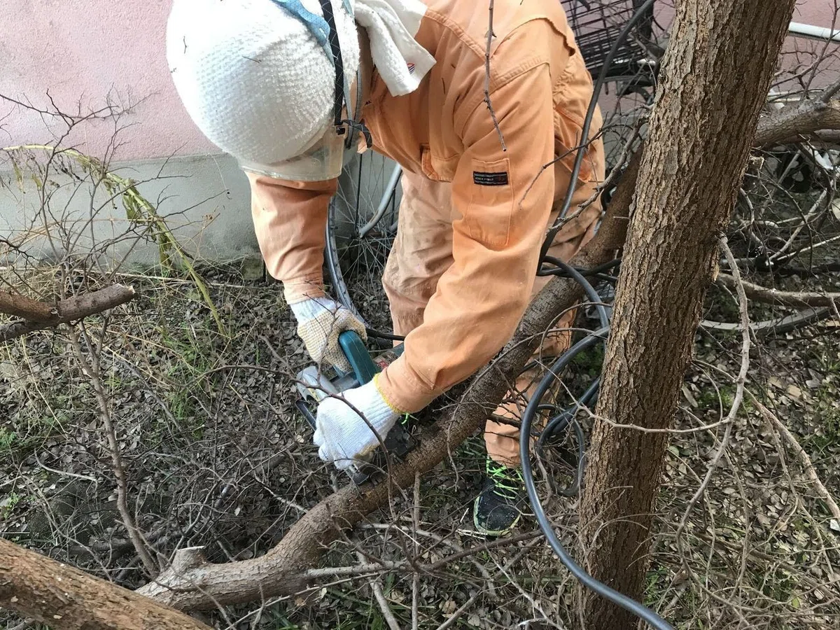 枝切る
