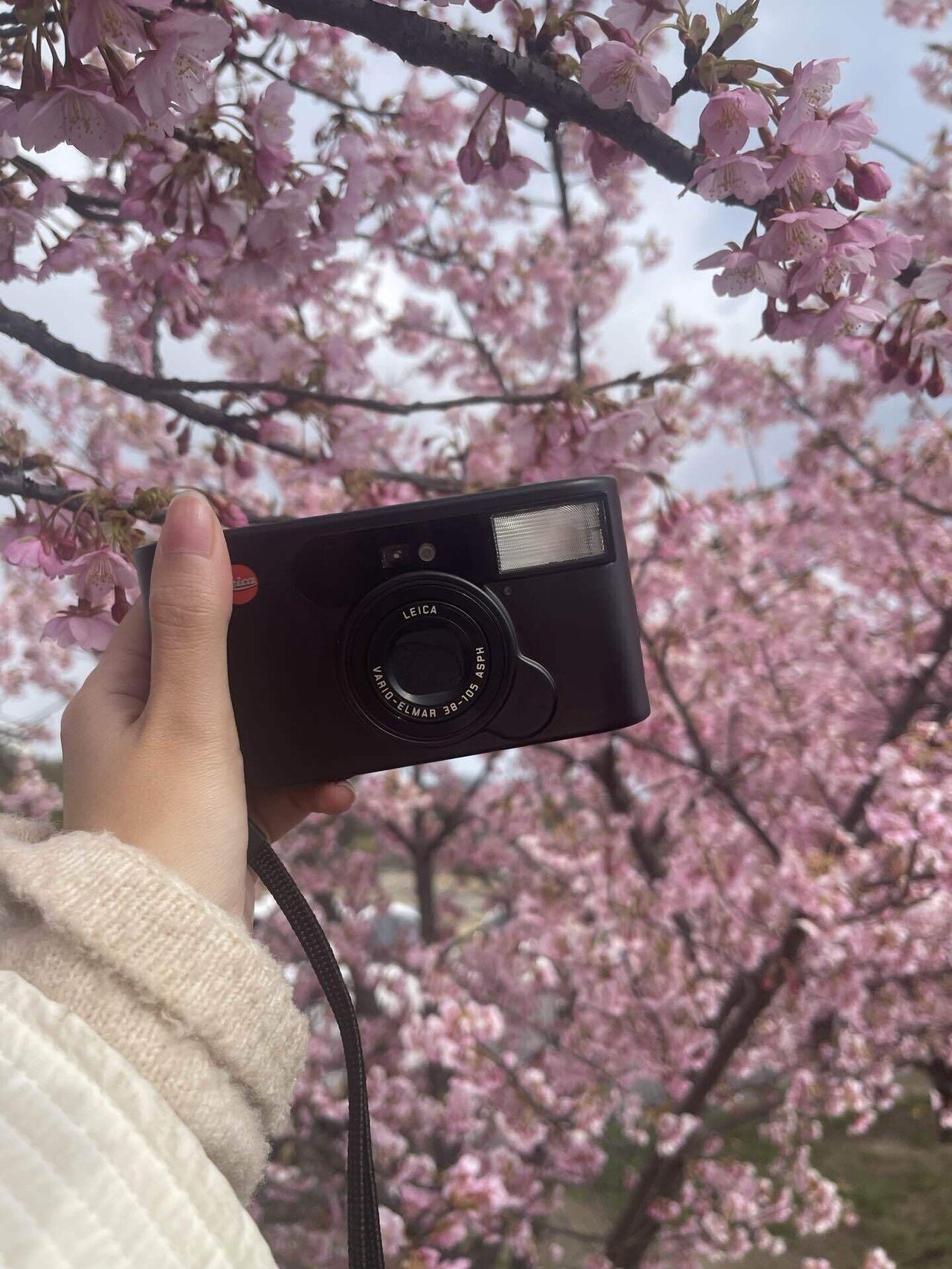 1 Leica C1 コンパクトフィルム実例集｜ひなた