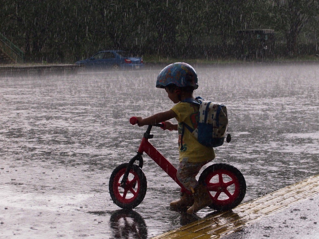 本当に 誰も知らなかったのだろうか いとま Note