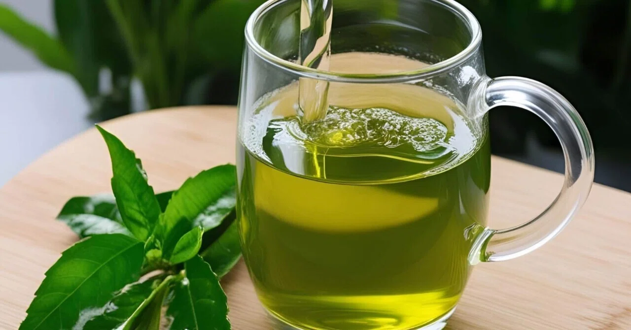 最新｜アルカリイオン水でお茶をいれると緑茶ポリフェノール量が増加