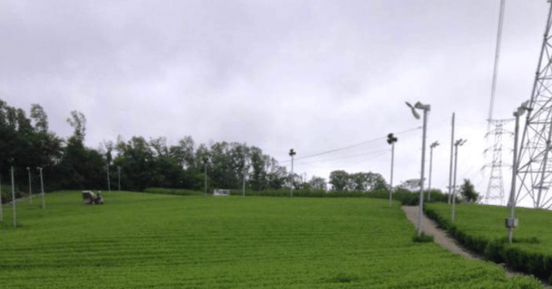 茶畑に巨大扇風機 おちゃはかせの日本茶研究所 Note 茶畑に巨大扇風機 おちゃはかせの日本茶研究所 Note